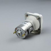 微型免费看片黄色有什么特点