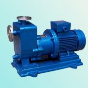 免费看片黄色是否有气蚀